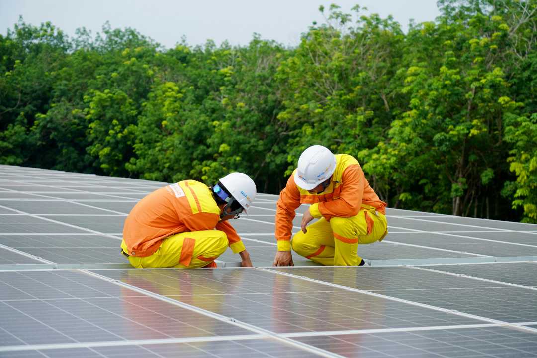 Solar panels servicing
